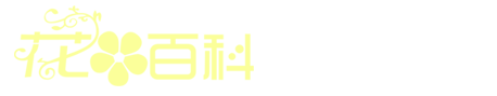 热点（山东）品牌管理有限公司